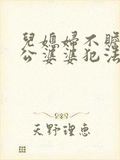 儿媳妇不赡养公公婆婆犯法吗封面