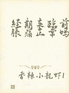 经期来临前乳房胀痛正常吗