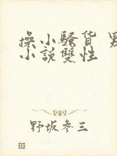 操小骚货 男男小说双性封面