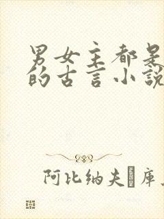 男女主都是将军的古言小说