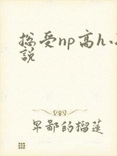 总受np高h小说