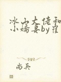冰山大佬和他的小娇妻by崔博陵小说