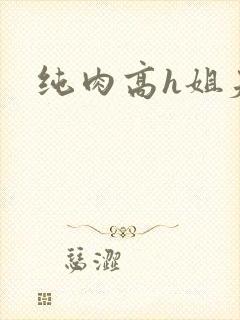 纯肉高h姐夫封面