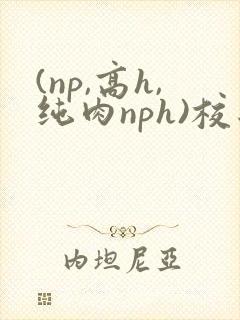 (np,高h,纯肉nph)校园