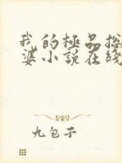 我的极品总裁老婆小说在线阅读