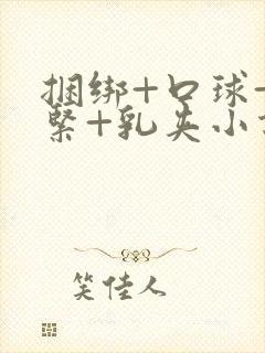 捆绑+口球+系紧+乳夹小说