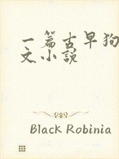 一篇古早狗血虐文小说