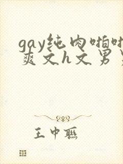 gay纯肉啪啪爽文h文男男np
