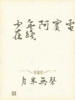 少年阿宾电子书在线