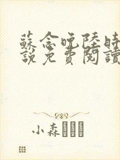 苏念晚陆时衍小说免费阅读最新章节