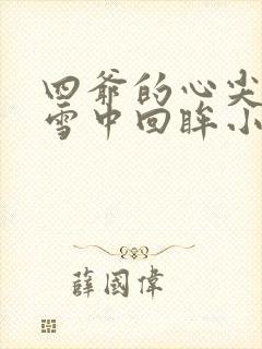 四爷的心尖宠妃雪中回眸小说封面