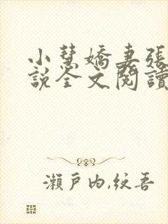 小慧娇妻张凯小说全文阅读