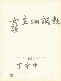 女主sm调教小说封面