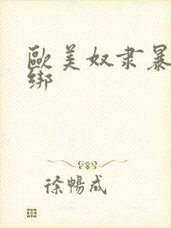 欧美奴隶暴力捆绑