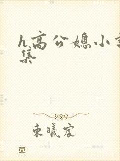 h高公媳小说合集
