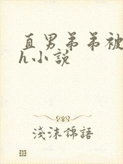 直男弟弟被哥哥h小说