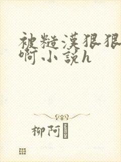 被糙汉狠狠弄嗯啊小说h