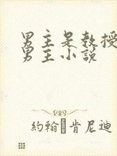 男主是教授的双男主小说