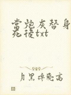当炮灰替身的我死后txt