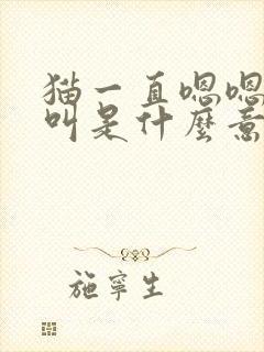 猫一直嗯嗯嗯的叫是什么意思封面