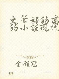 文笔好的高质量的小说现代言情推荐