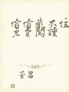 偷偷藏不住小说免费阅读