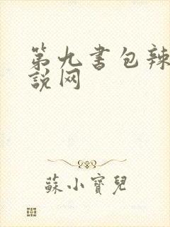 第九书包辣文小说网封面