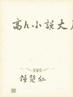 高h小说大尺度封面