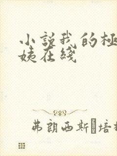 小说我的极品小姨在线