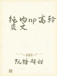纯肉np高干h爽文