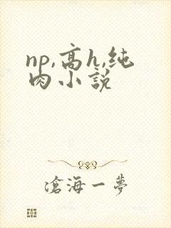 np,高h,纯肉小说
