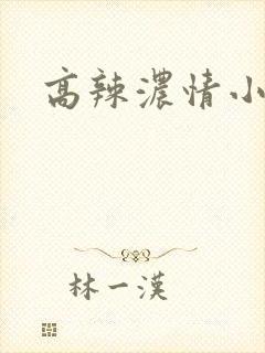 高辣浓情小说