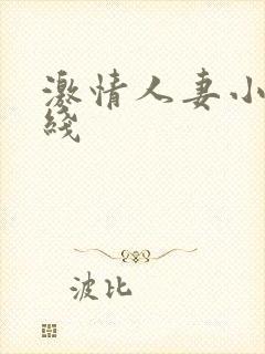 激情人妻小说在线