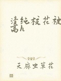 清纯校花被调教高h封面
