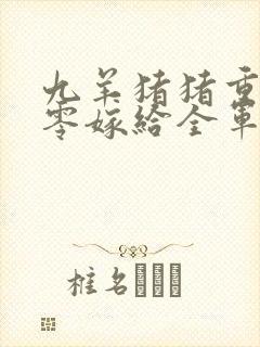 九羊猪猪重生八零嫁给全军第一硬汉大结局