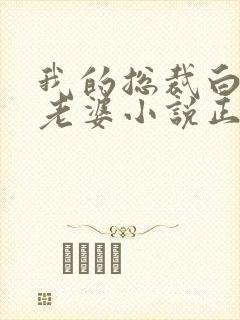 我的总裁白富美老婆小说正版