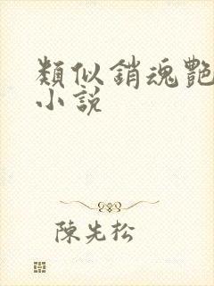 类似销魂艳婢的小说封面