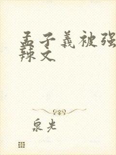 孟子义被强h肉辣文