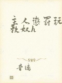 主人惩罚玩弄调教奴h