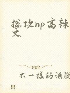 总攻np高辣h文