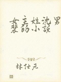 女主姓沈男主姓裴的小说