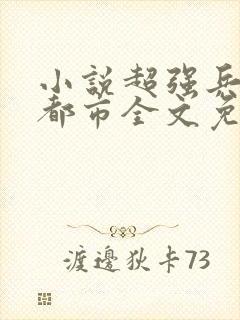 小说超强兵王在都市全文免费阅读