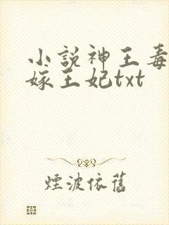 小说神王毒宠二嫁王妃txt