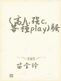 (高h,强c,各种play)骚话小说
