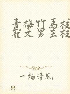 青梅竹马校园甜宠文男主校霸封面