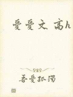 爱爱文 高h