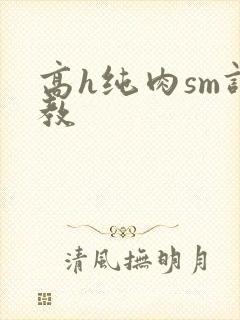 高h纯肉sm调教