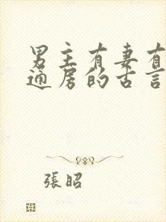 男主有妻有妾有通房的古言