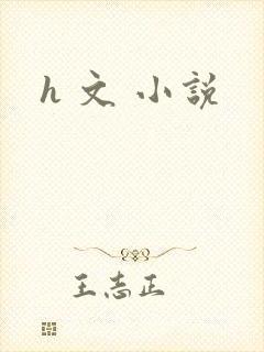 h 文 小说