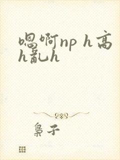 嗯啊np h高h乱h